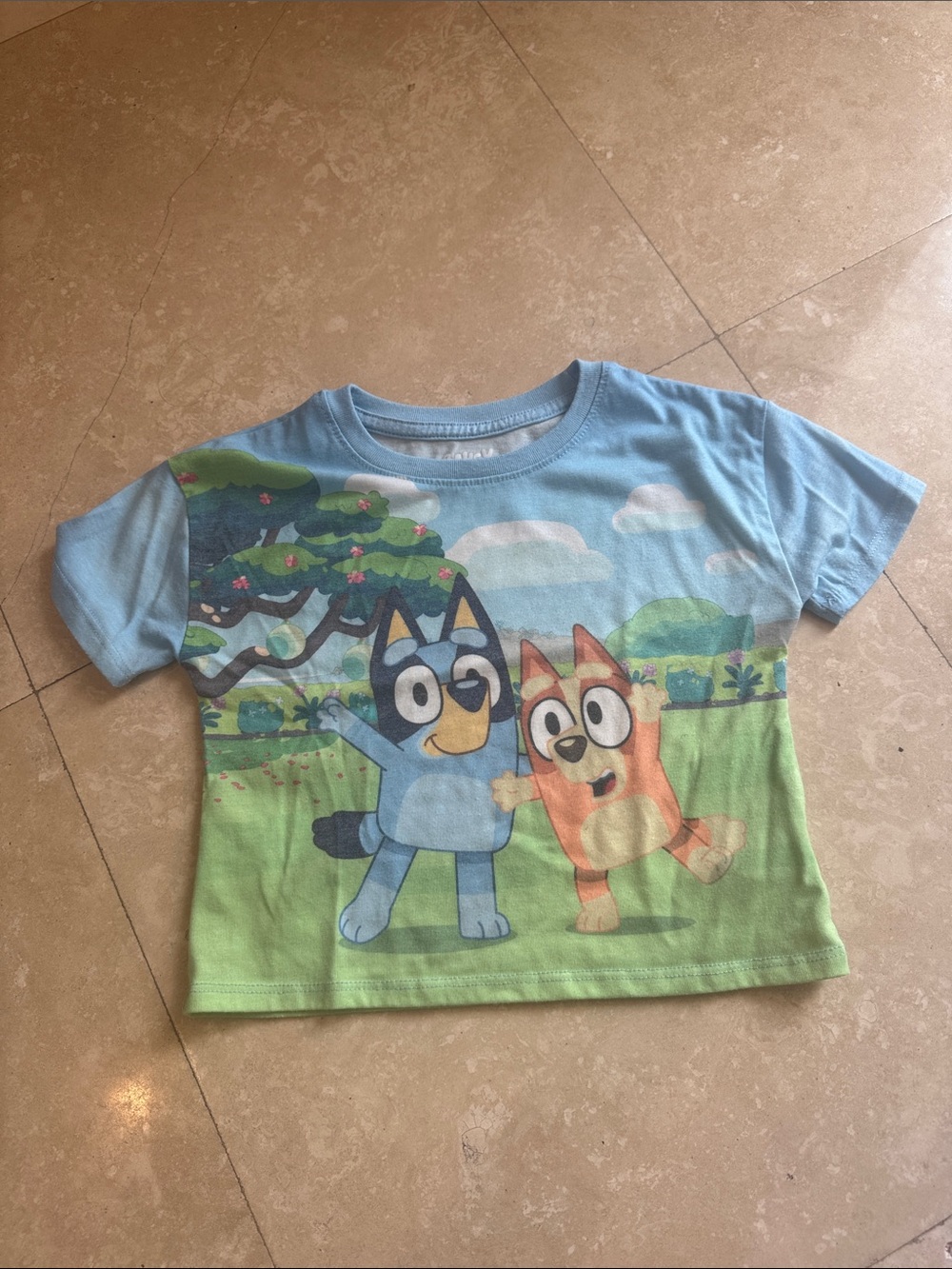 Blue & Green Bluey-Inspired Short Sleeve Kids Tee